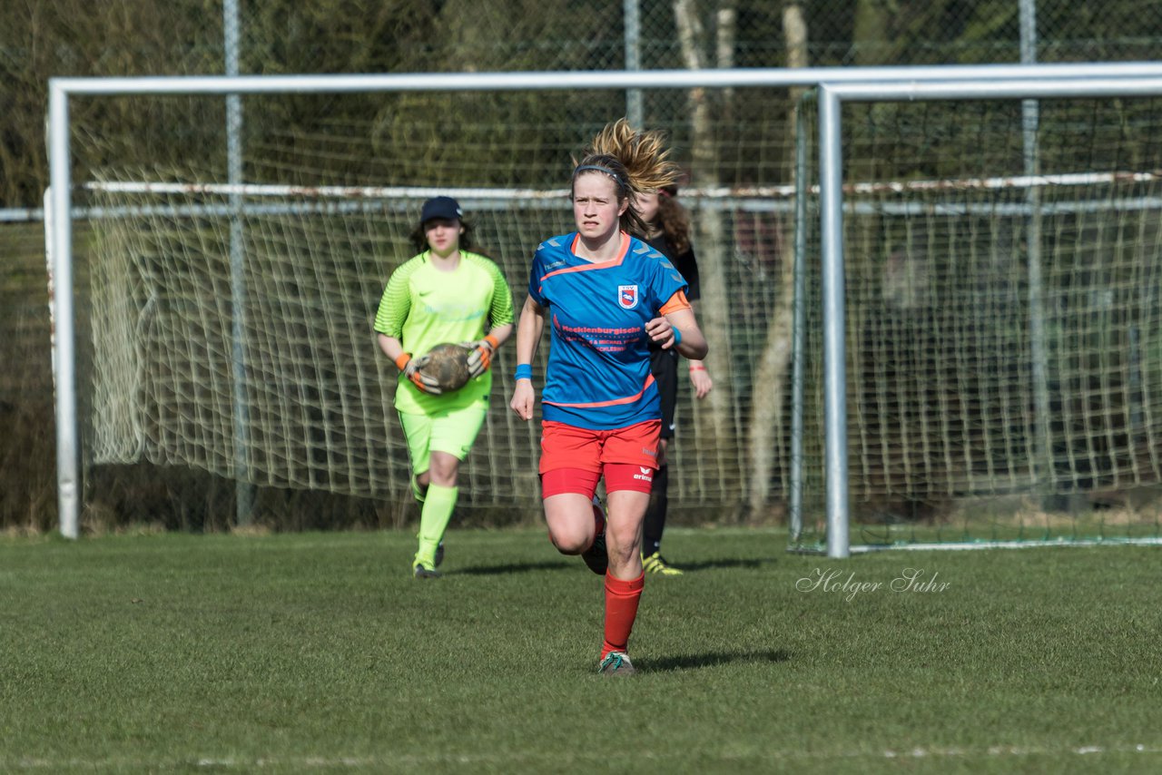 Bild 222 - C-Juniorinnen SV Steinhorst/Labenz - TSV Friedrichsberg-Busdorf : Ergebnis: 5:0